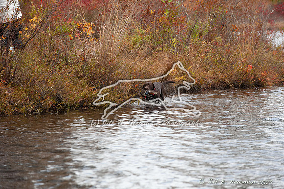 WRC_3297_Guiness