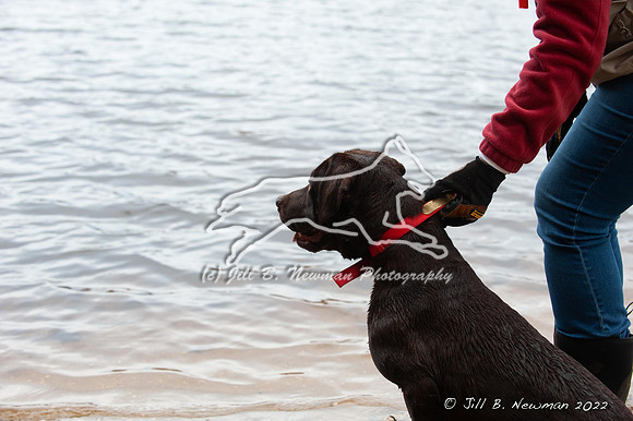 WRC_3283_Guiness