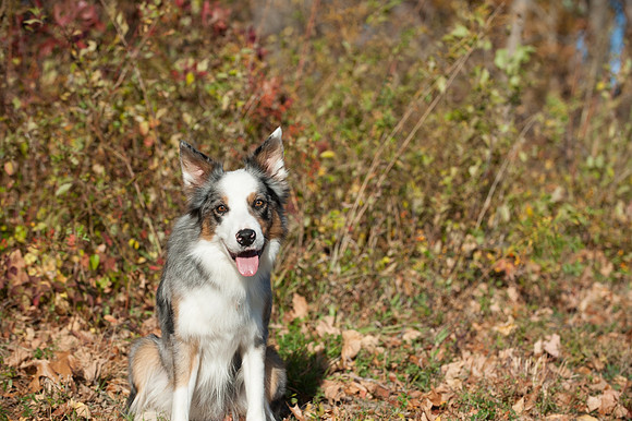 3762-_Zack