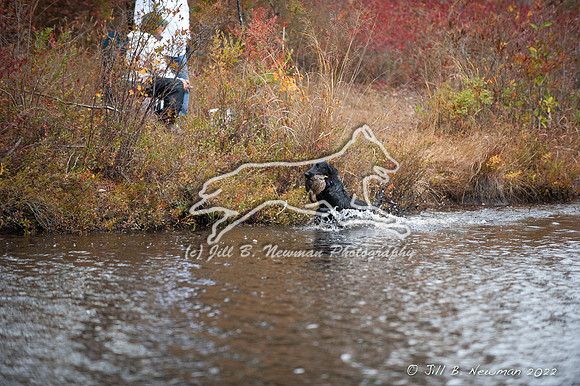 WRC_3216_Snowy