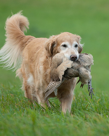 DSC_6373_Edie