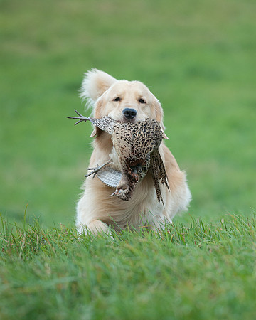 DSC_6679_Andy