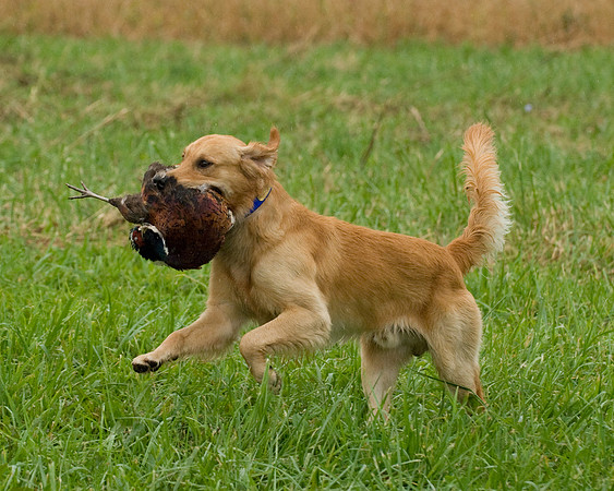 DSC_1270-Rudy