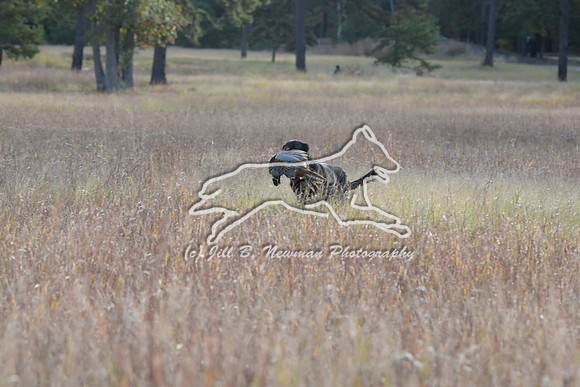 DSC_3611_Windy