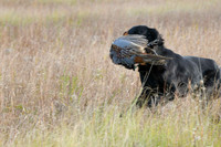 DSC_3621_Windy