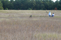 DSC_3626_Windy