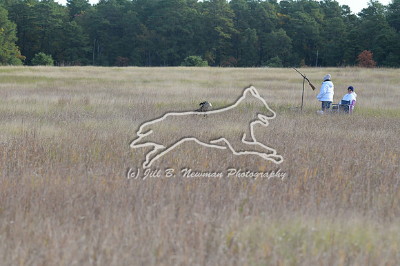 DSC_3626_Windy
