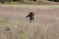 DSC_3598_Windy