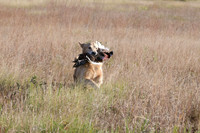 DSC_3664_Teague