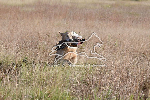 DSC_3664_Teague