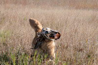 DSC_3671_Teague