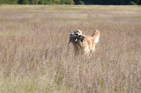 DSC_3674_Teague