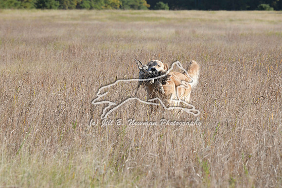 DSC_3674_Teague