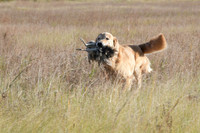 DSC_3681_Teague
