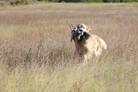 DSC_3679_Teague