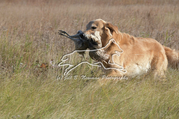 DSC_3683_Teague