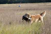 DSC_3701_Teague