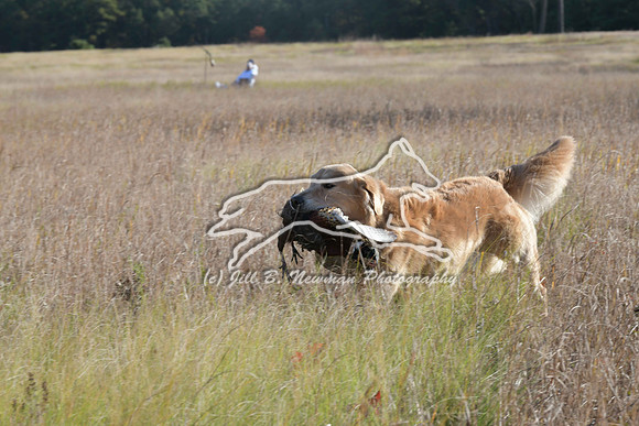 DSC_3701_Teague
