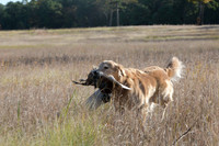 DSC_3699_Teague