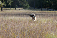 DSC_3688_Teague