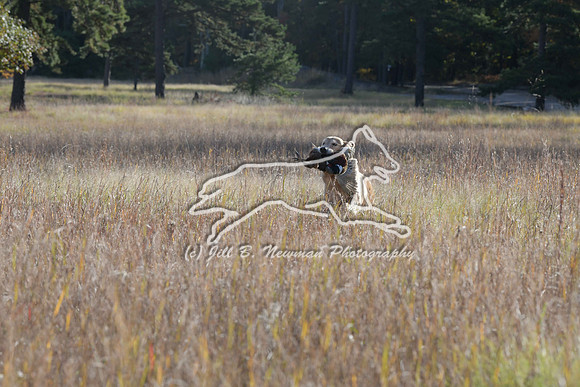 DSC_3688_Teague