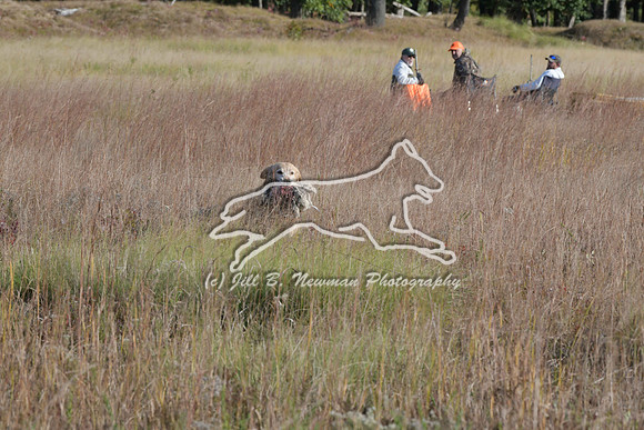 DSC_3715_Nellie