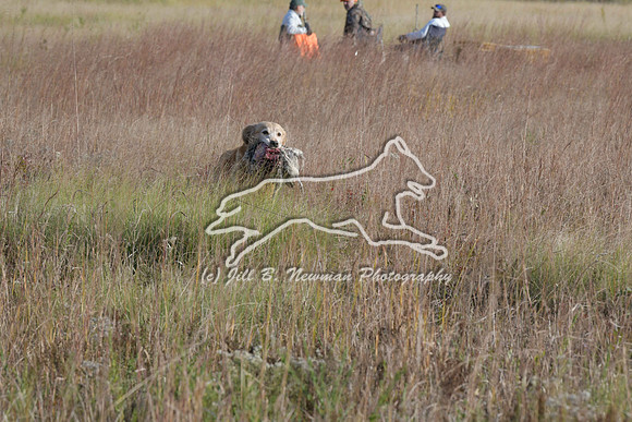 DSC_3718_Nellie