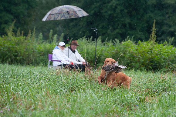 WRC_5537Isley