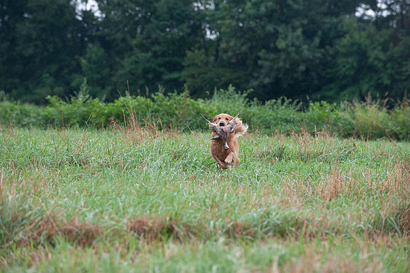 WRC_5881Spanky