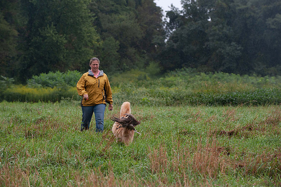 WRC_5427Setup Dog