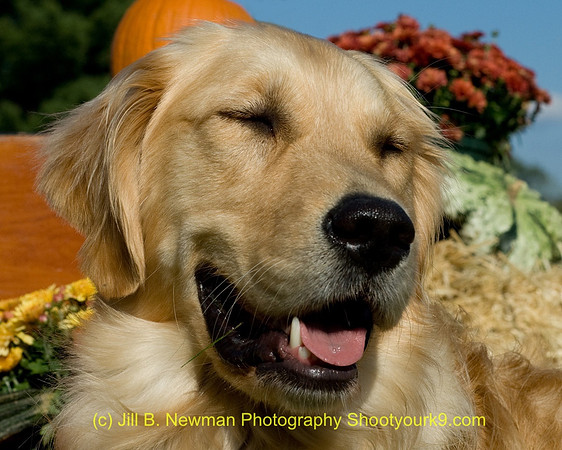 20081005-DSC_6242_2