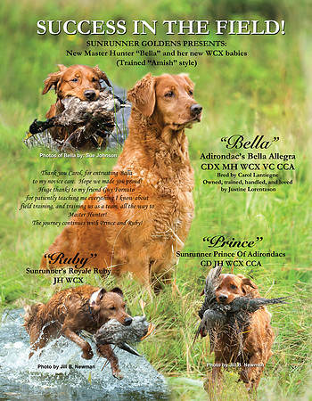 GRCA_Advert_FINALPhotoprint