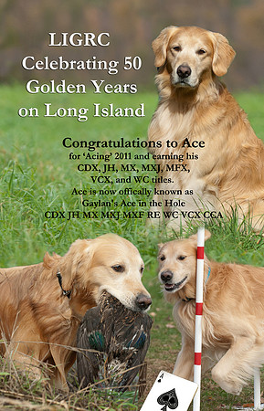 Ace_LIGRC_Ad_4.5x7_v02