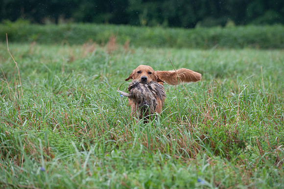 WRC_5644Spicy