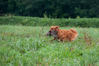 WRC_5542Isley