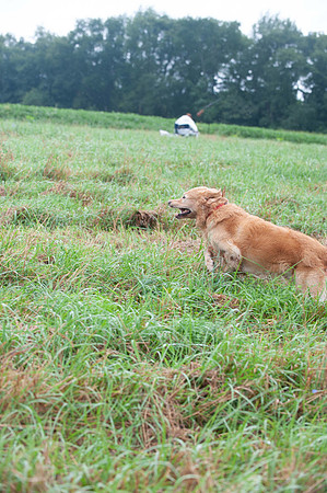 WRC_5823Chaplin