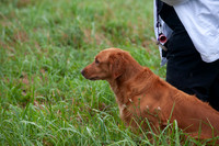 WRC_5510Isley