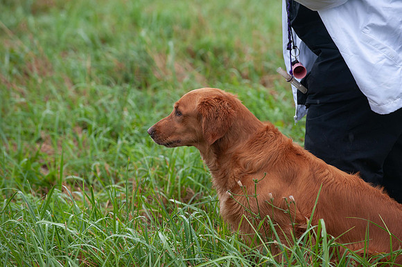 WRC_5510Isley