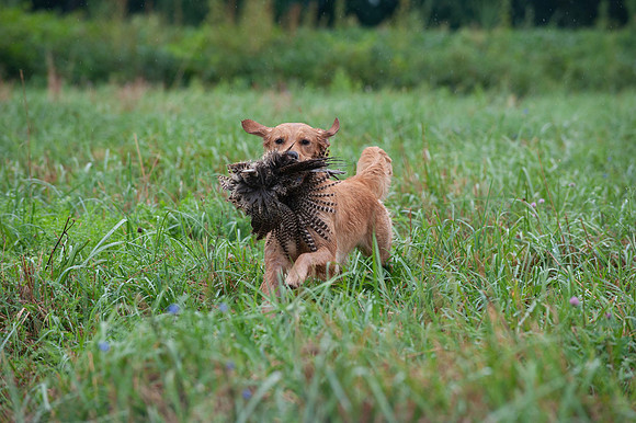 WRC_5629Spicy