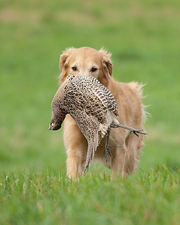 DSC_6878_Bette