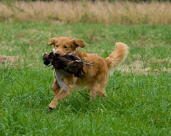 DSC_1289-Jerry