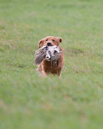 DSC_6792_Jerry