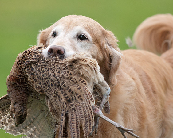 DSC_6355_Edie