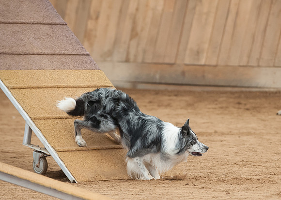 WRC_2720