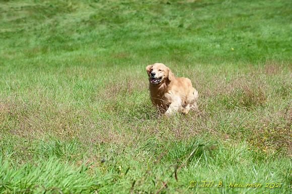 WRC_8685