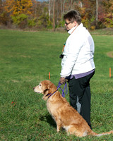 DSC_6587_TestDog