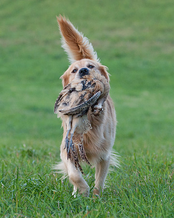 DSC_6425_Rudy