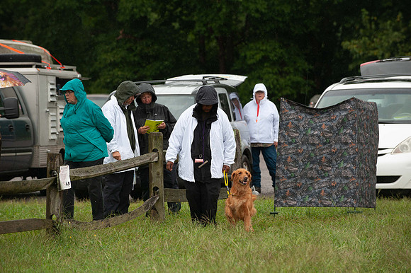 WRC_5479Isley