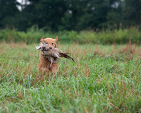 WRC_5472Bouy