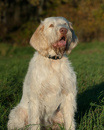DSC_7457_Rico
